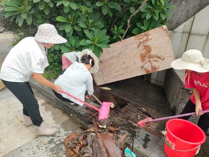 清理易滋生蚊虫沟渠.jpg